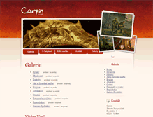 Tablet Screenshot of carpinart.com